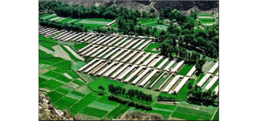 2017年現(xiàn)代生態(tài)農(nóng)業(yè)示范園建設(shè)項(xiàng)目可行性研究報(bào)告