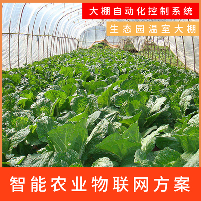 科技賦能，綠色未來 智能大棚與生態農業的融合開發之路
