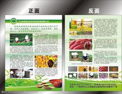 描繪綠色未來 生態(tài)農(nóng)業(yè)公司的視覺敘事與開發(fā)實(shí)踐